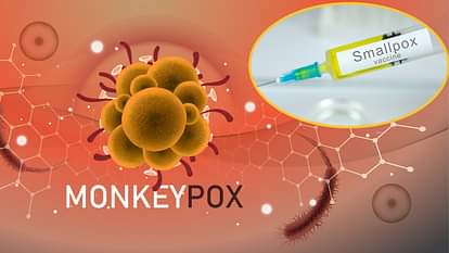 monkeypox update in india and latest symptoms in hindi