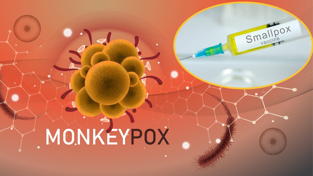 Expert Advice Know Difference Between Smallpox and Monkeypox News in Hindi