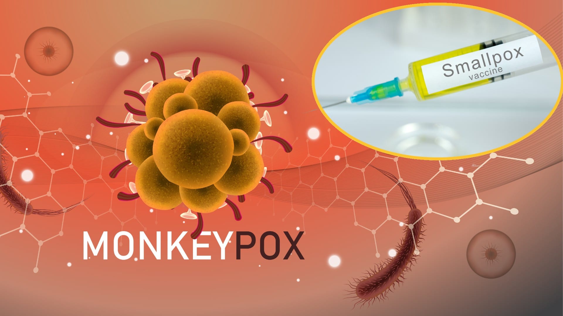 Lancet study says Monkeypox complications more common in children and immunocompromised