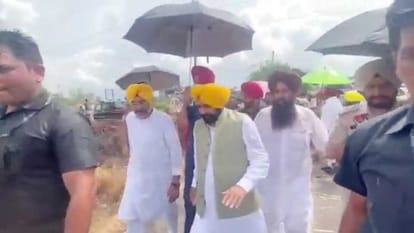 Punjab weather News: Heavy rain in Gurdaspur and Muktsar of Punjab