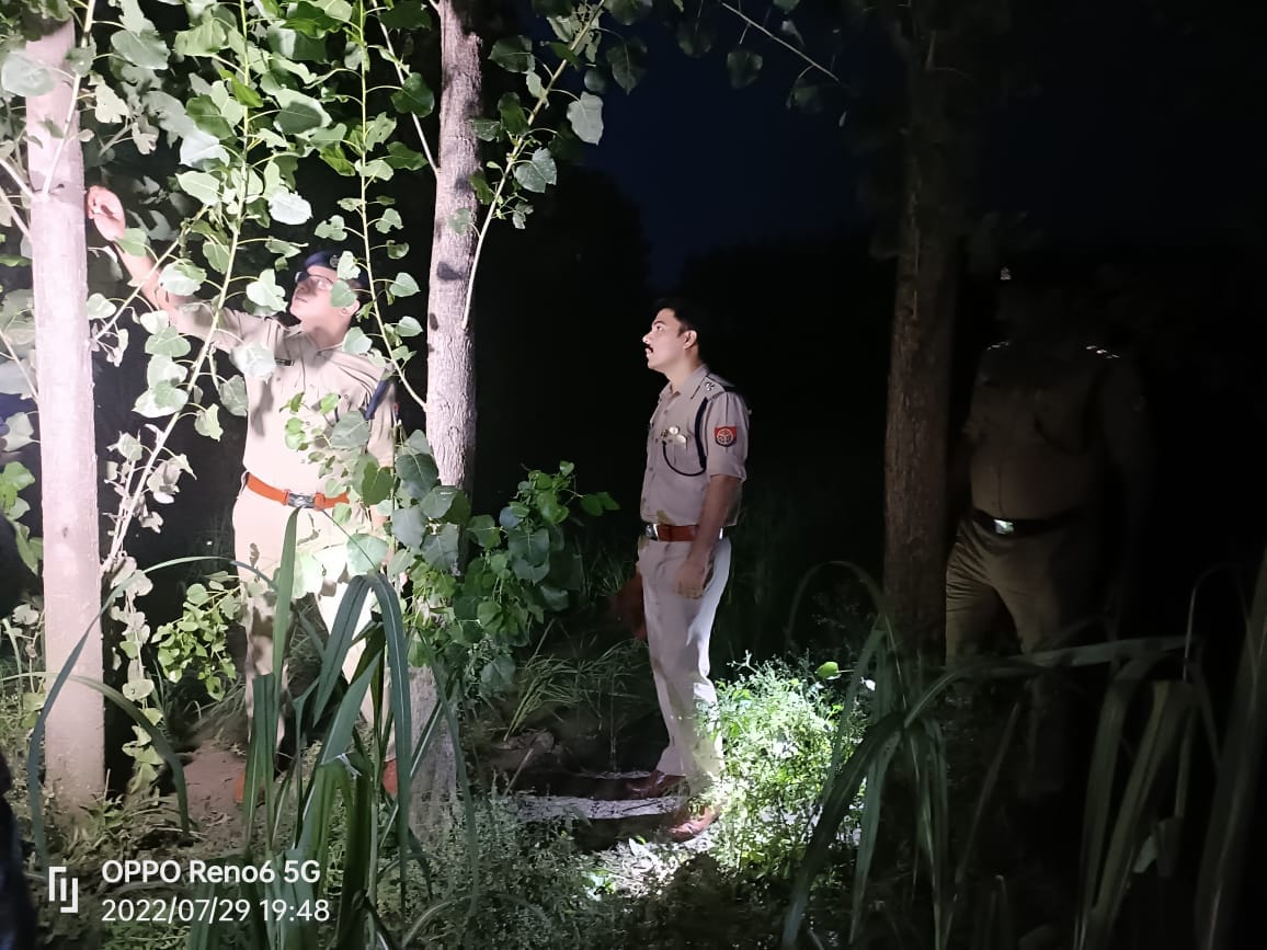 Dead body of accused of deadly attack found hanging on tree