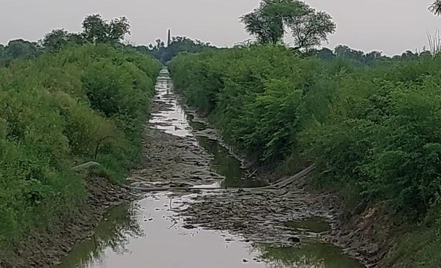 No water in Sakrauli Rajwaha, farmers of 9 villages affected