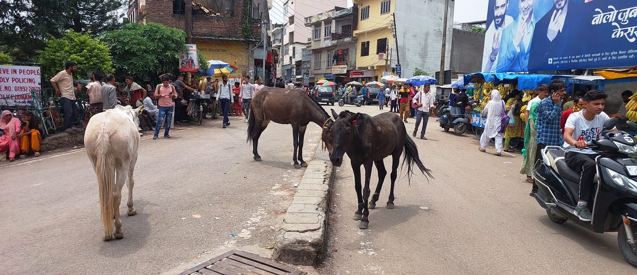 traffic problem
