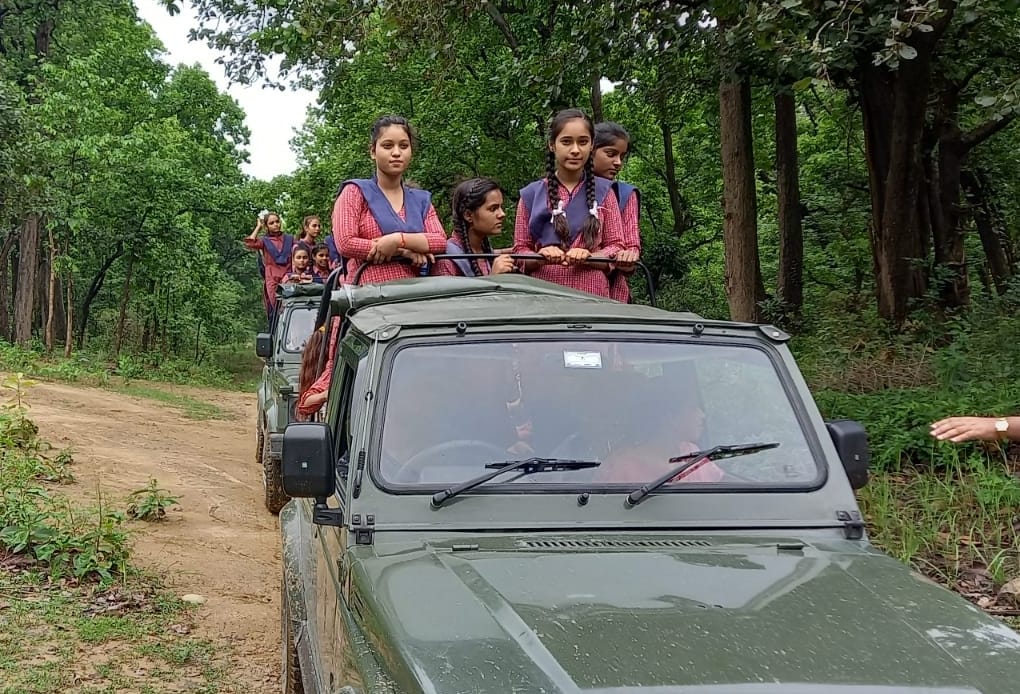 Good luck living with tigers: Conservator of Forests