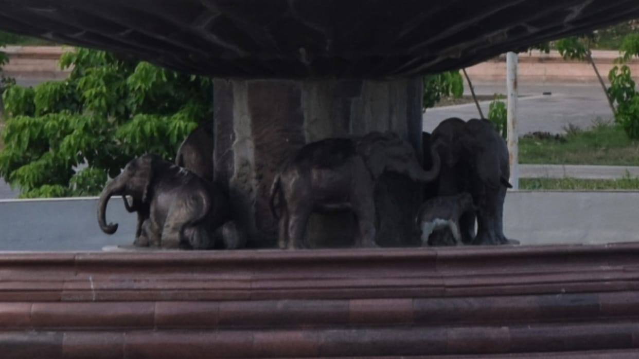 Statue of elephant is being searched in Noida and Delhi.