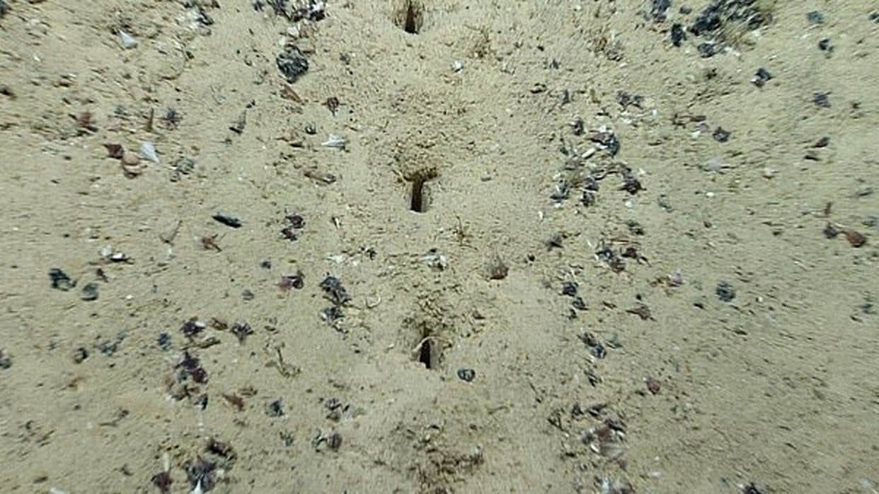 Atlantic Ocean News Mysterious Human Hole Found In Atlantic Sea Discover By Scientists News In Hindi