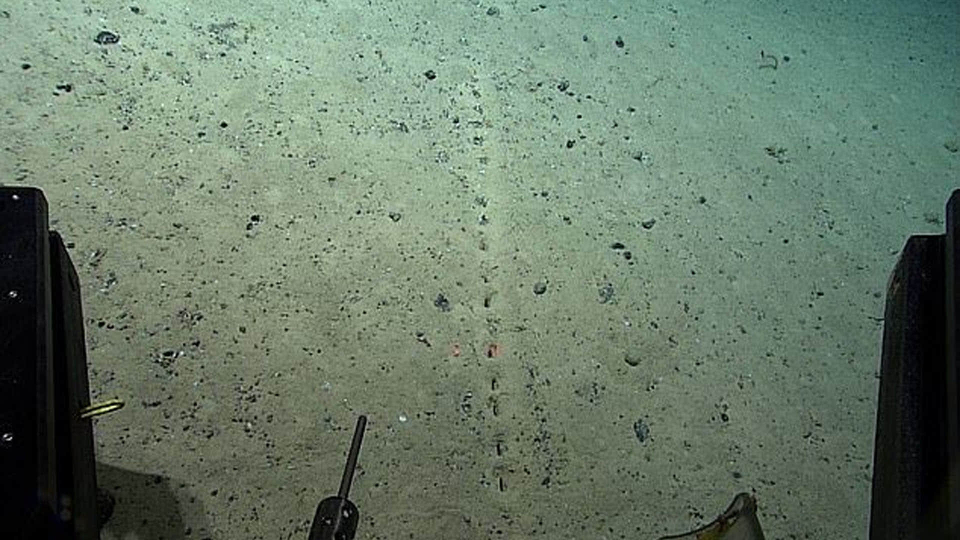 Atlantic Ocean News Mysterious Human Hole Found In Atlantic Sea Discover By Scientists News In Hindi