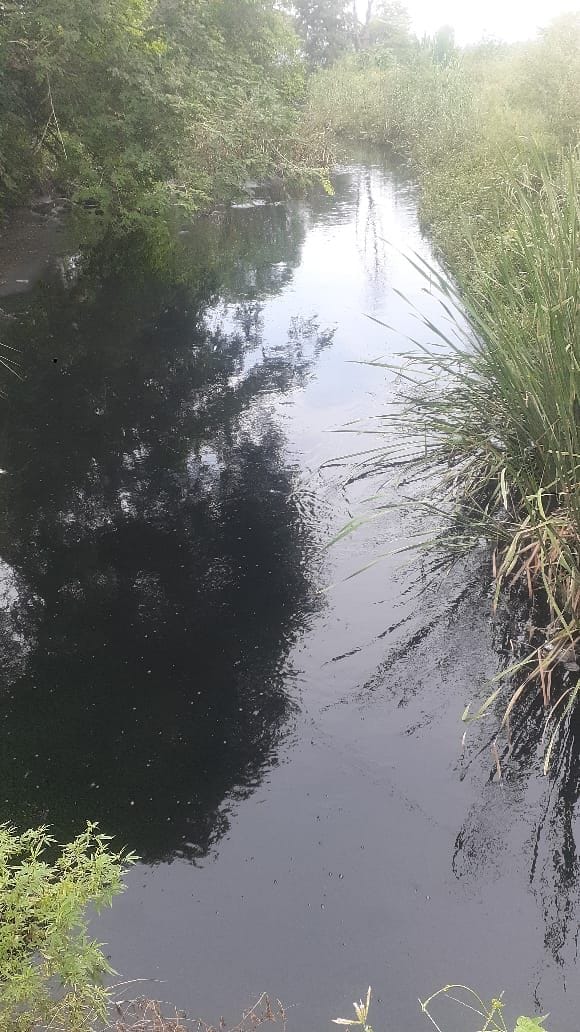 Ditch drain is giving diseases to people, environment is polluted, groundwater becomes toxic