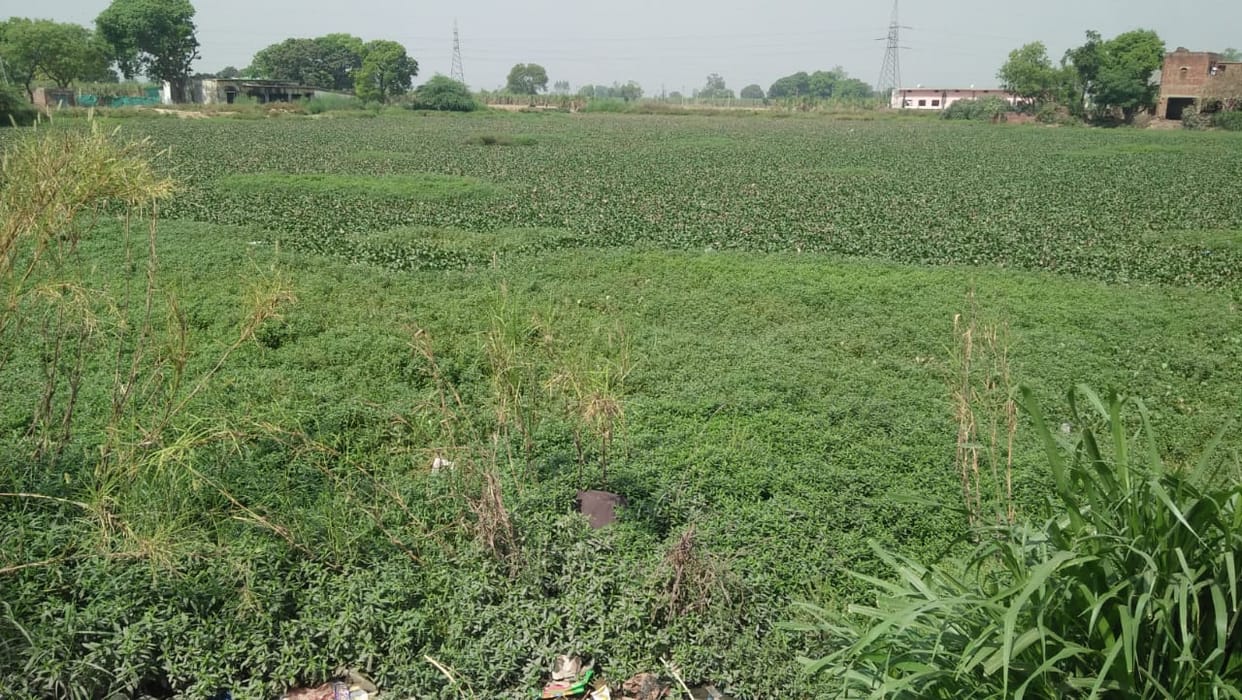 overflowed pond, water filled in the fields