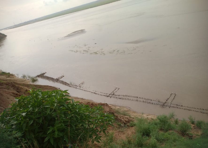 Panic among farmers due to land felling in Gauspur