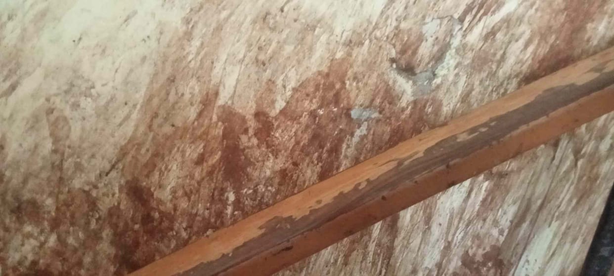 OPD running in civil hospital's declared building