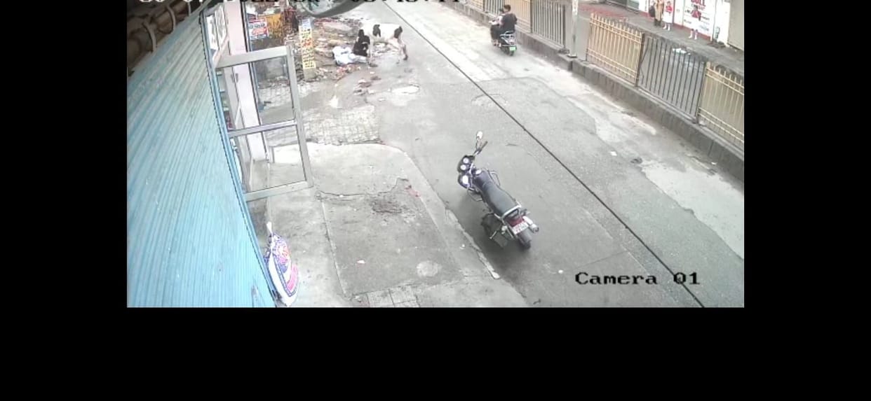 12 days later, another accident with a destitute animal in the city, the cow hit an 80-year-old old man, fractured the ribs, condition critical