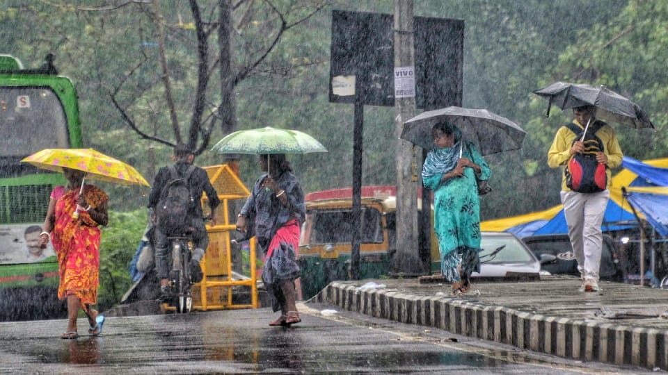 Rain starts in many areas of Delhi-NCR