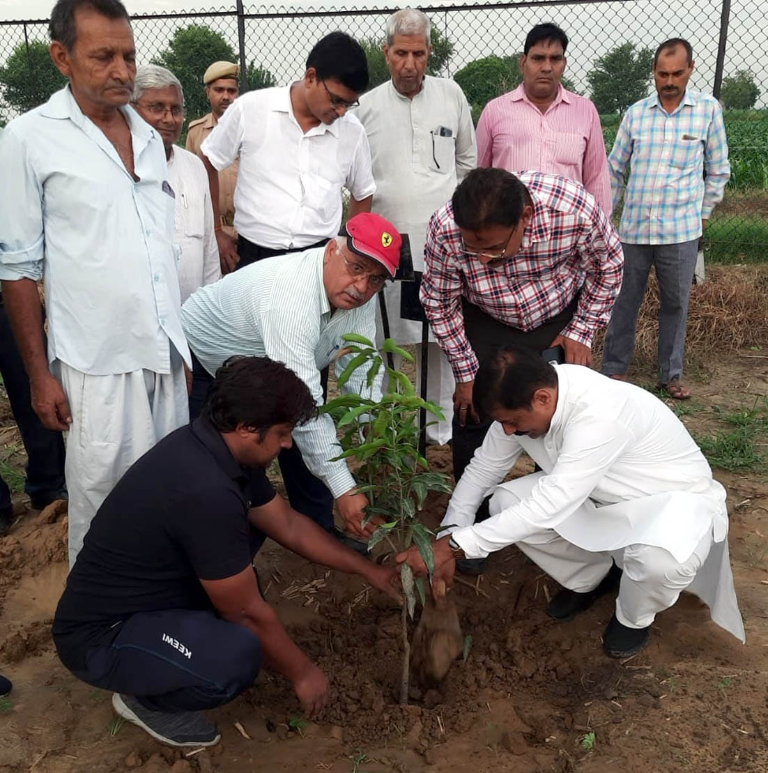 The chairman of the Council of Agricultural Research did plantation