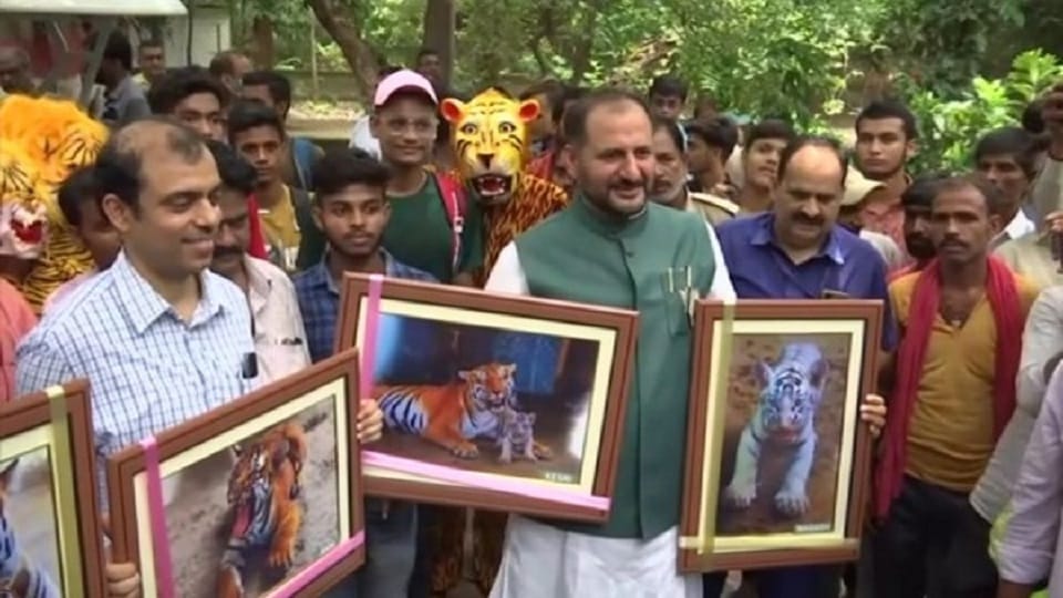 Bihar CM Nitish Kumar names 4 newborn tiger cubs in Patna zoo