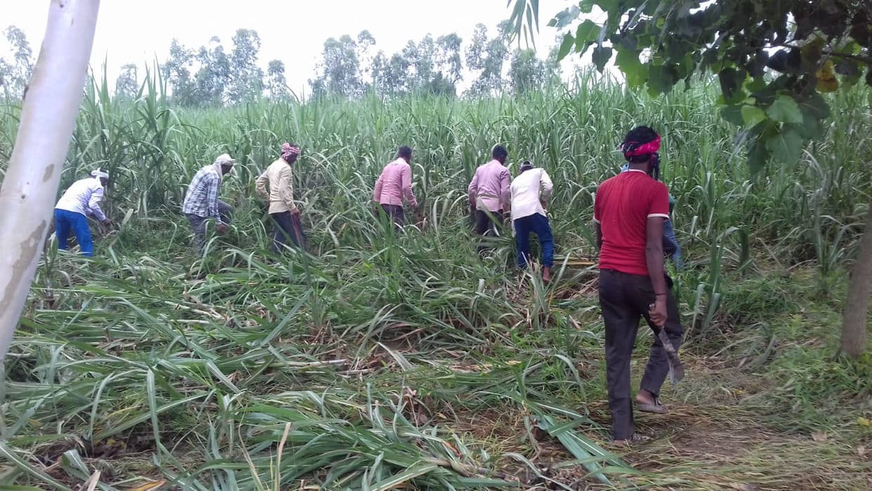 Possession removed from 50 bighas of land of Irrigation Department