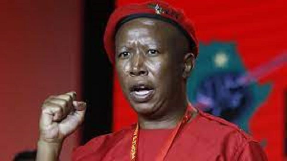 South Africa Opposition leader Malema says Guptas did not capture state