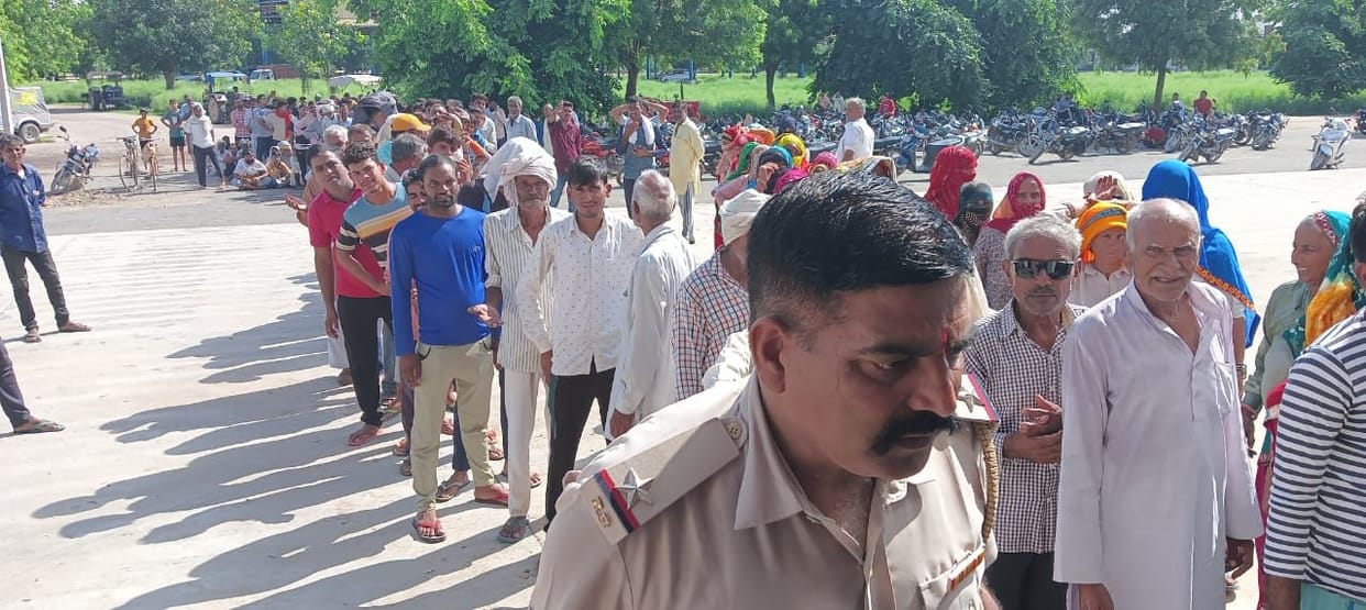 Urea crisis deepens, millet crop turns yellow