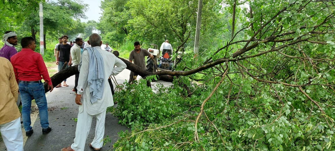 Roadway blocked due to falling trees, lights of many villages also went off