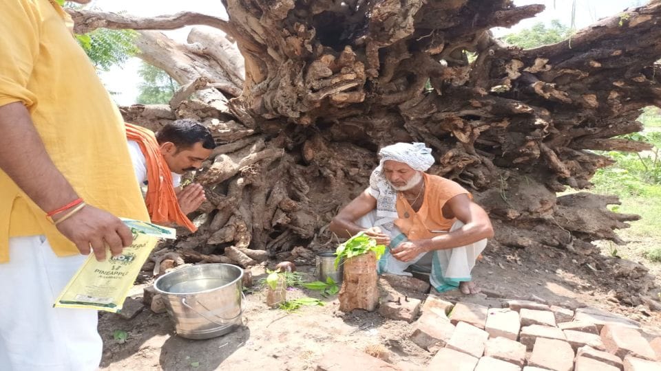 Shivling found out under 200 year old Peepal tree in firozabad