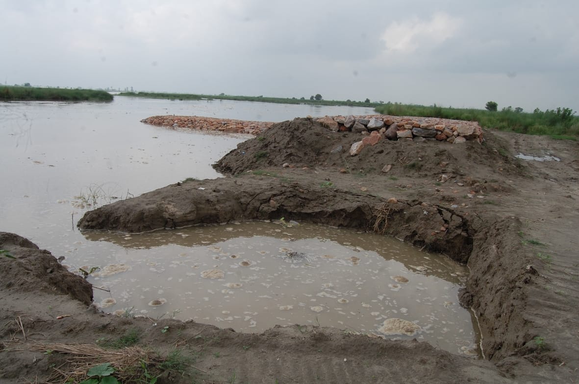 Harvesting even after stumbling construction, stopped payment of contractor