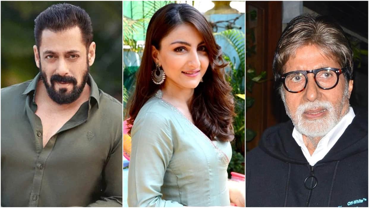 From amitabh bachchan to sunny deol Before Salman khan these stars have also taken arms license
