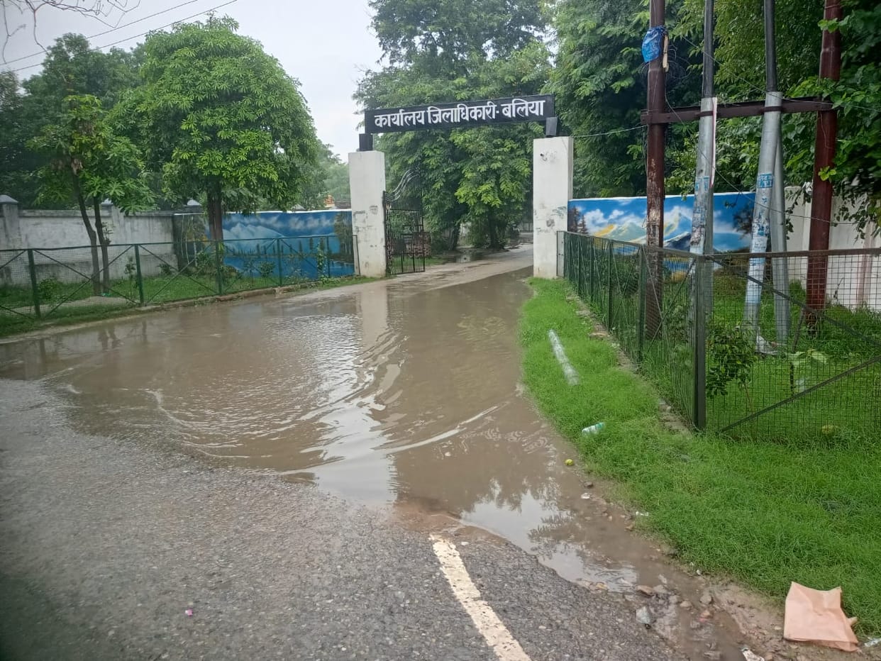 Agriculture got new energy due to rain, troubled by water logging