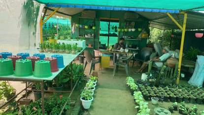 Sandeep and Ajay earning Rs 15 lakh annually from guava cultivation