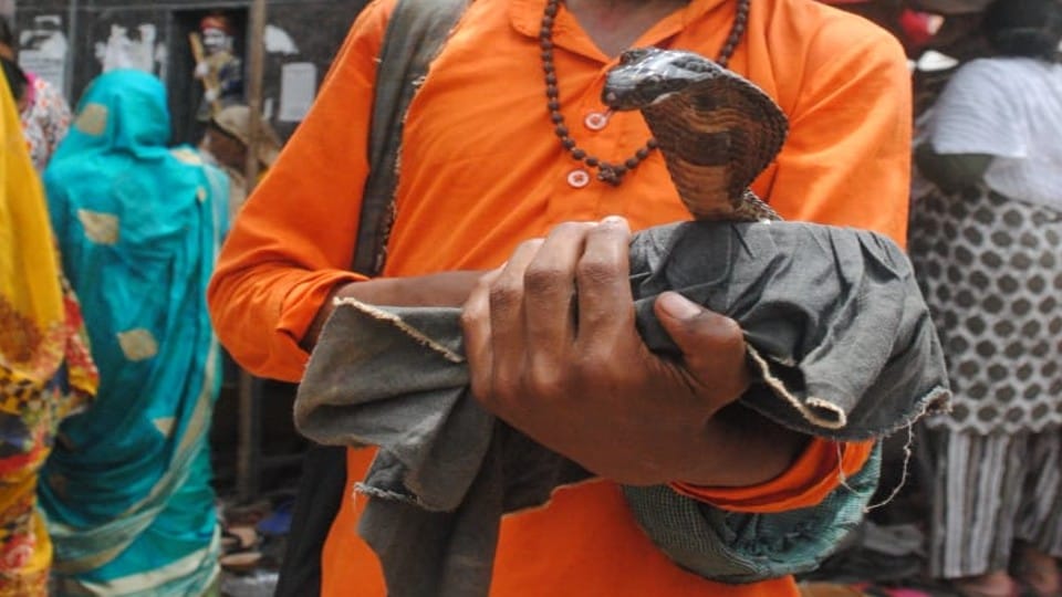 Nag Panchami 2022 today 2 august know shubh muhurat puja vidhi Significance