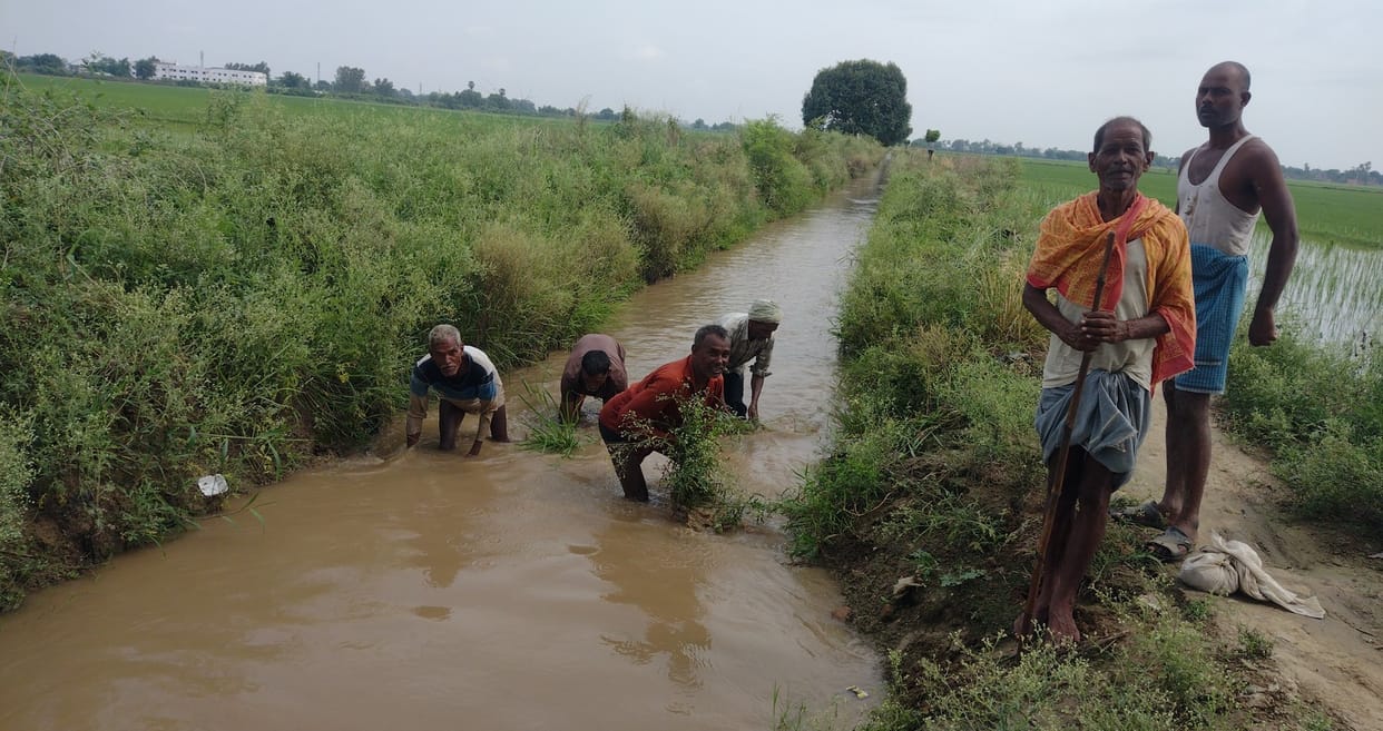 Farmers own minor cleaning