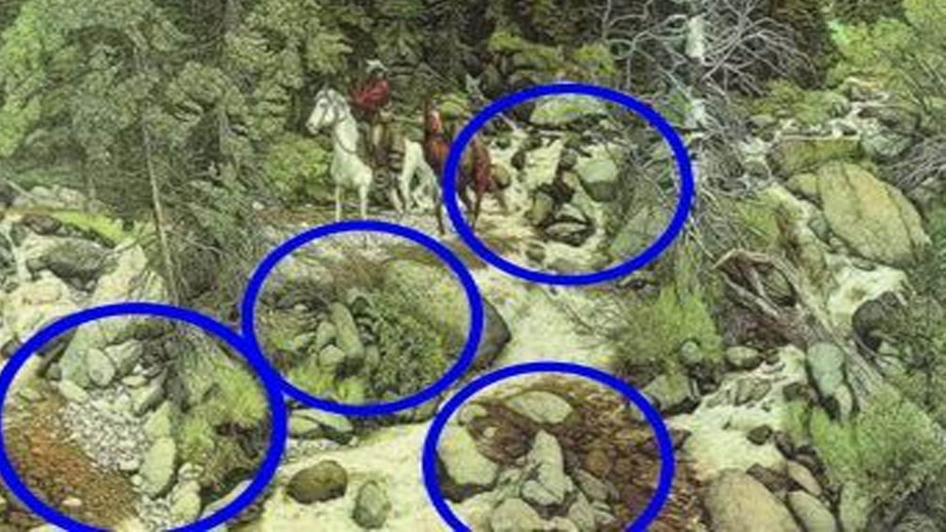Optical Illusion Images to Test Brain IQ Find Out 13 Hidden Faces in Forest From Photo