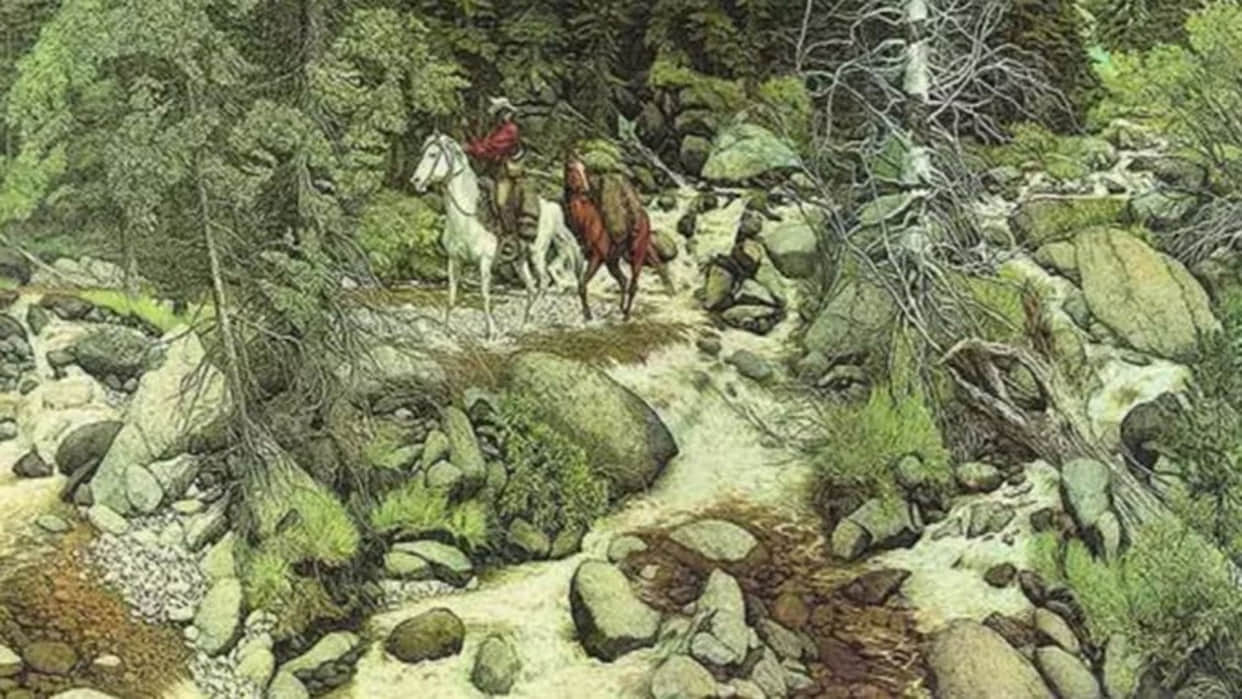 Optical Illusion Images to Test Brain IQ Find Out 13 Hidden Faces in Forest From Photo