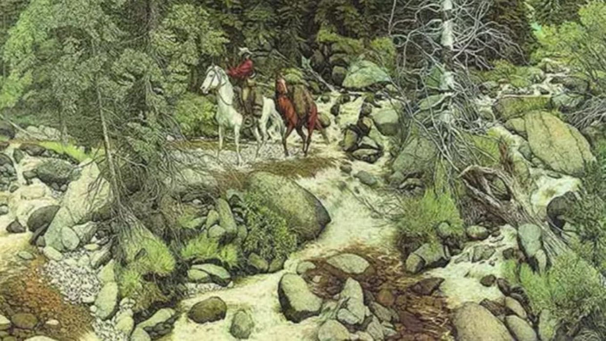 Optical Illusion Images to Test Brain IQ Find Out 13 Hidden Faces in Forest From Photo