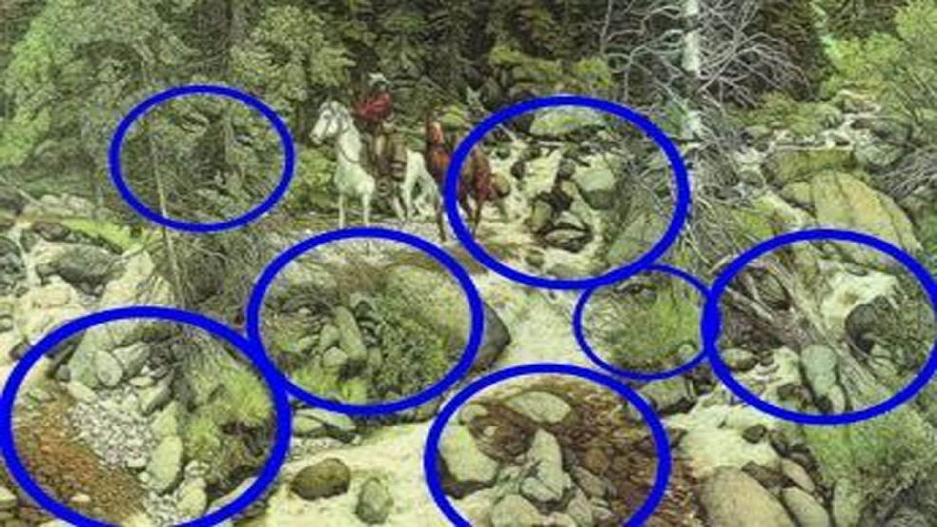 Optical Illusion Images to Test Brain IQ Find Out 13 Hidden Faces in Forest From Photo