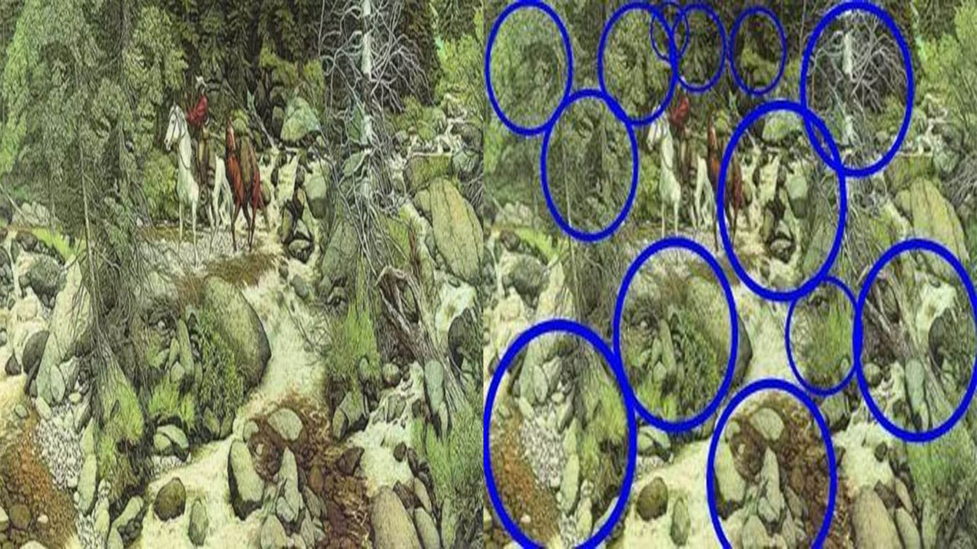 Optical Illusion Images to Test Brain IQ Find Out 13 Hidden Faces in Forest From Photo