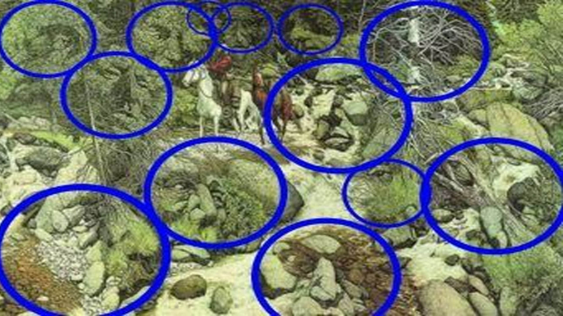 Optical Illusion Images to Test Brain IQ Find Out 13 Hidden Faces in Forest From Photo