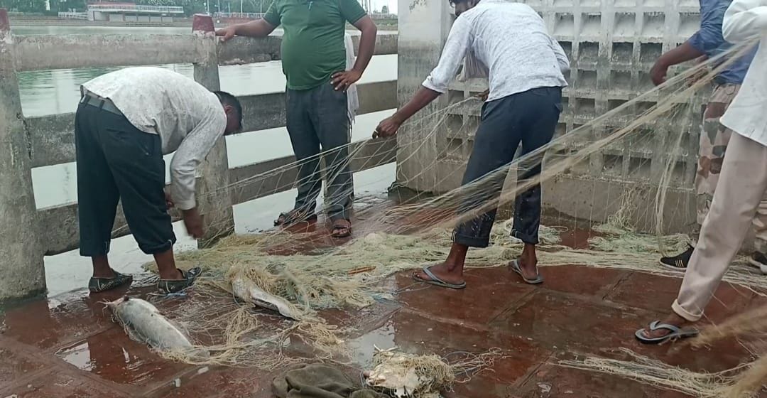 Poachers eye on Brahmasarovar, net recovered, Kurukshetra