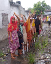 Paddy planted on the road in protest against waterlogging-sludge