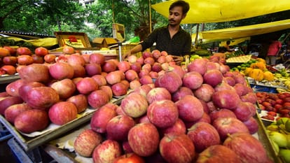 Capsicum became more expensive than apples coming from Shimla