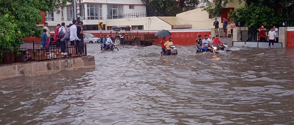 Along with the residential areas, the rain became a disaster for the crops