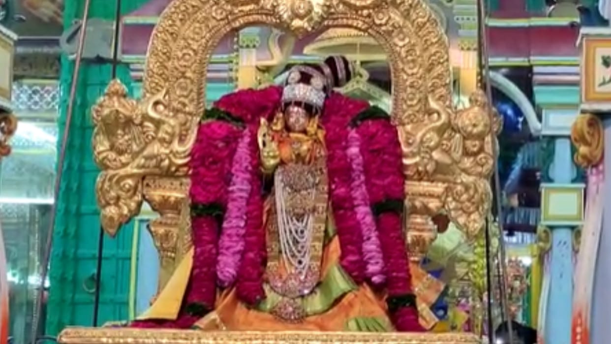 swing festival started in Rangji temple of pushkar