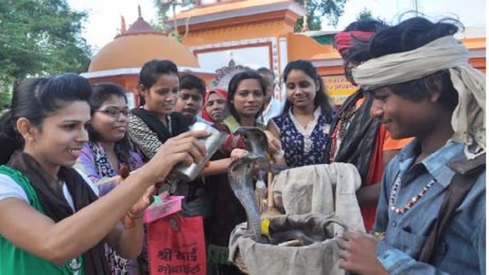 Nag Panchami 2022 Know These Myths And Facts About Snakes