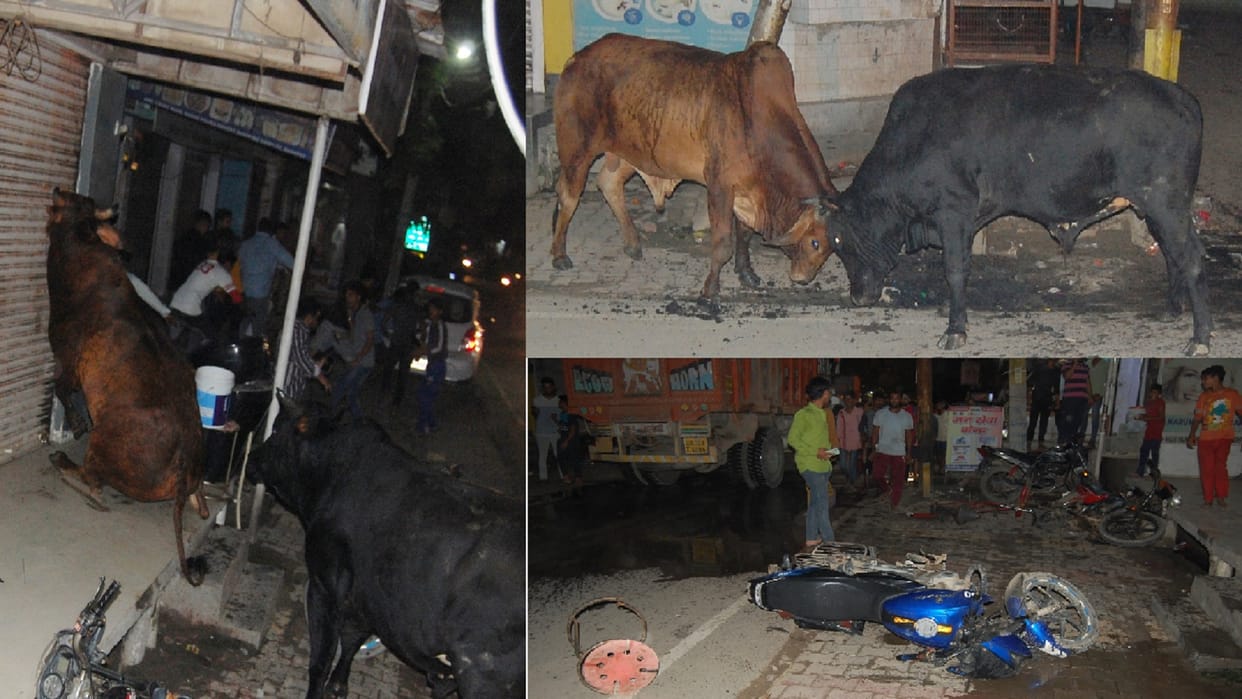 Govansh have broken many vehicle during riot in market in Baghpat city see photos
