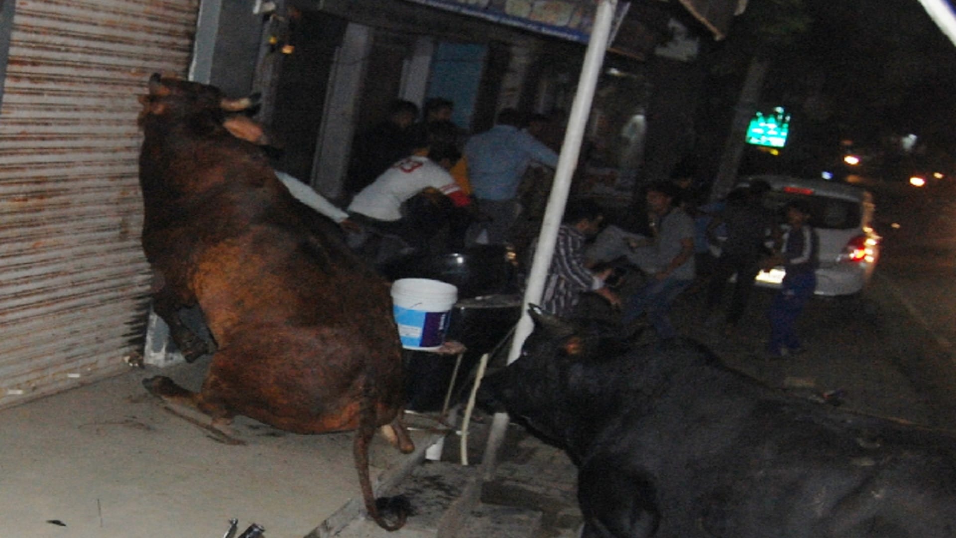 Govansh have broken many vehicle during riot in market in Baghpat city see photos