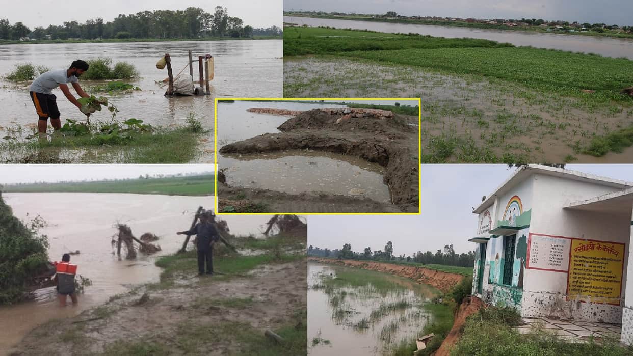 Crops submerged in water of Yamuna in Baghpat and government school is in danger of drowning in Bijnor