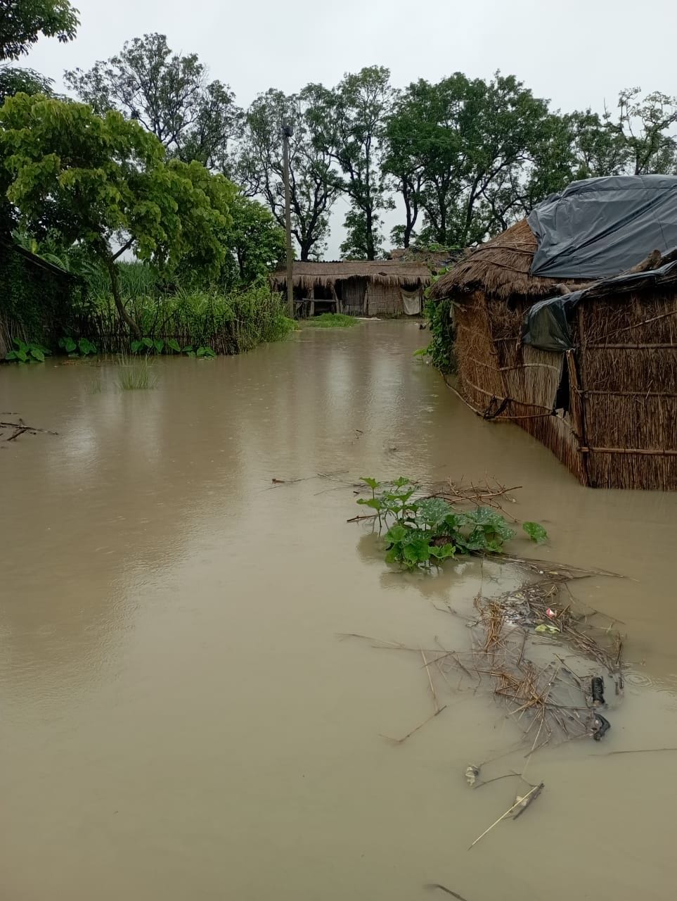 Gandak reached near red mark in kushinagar flood
