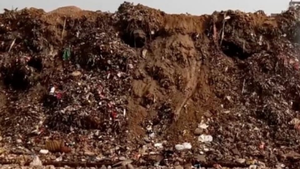 Chandigarh Municipal Corporation now planning to dispose horticulture waste as well as earn money from it