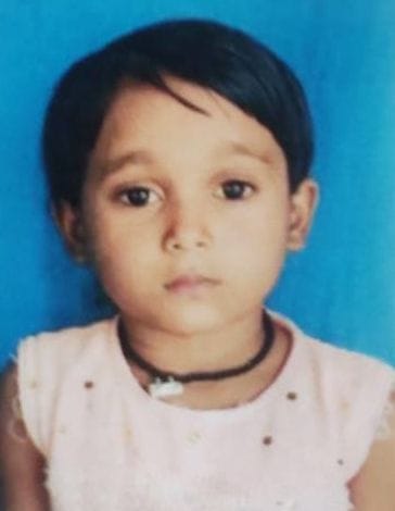 Hardoi, Daughter dies, father-brother injured due to kutcha wall collapse