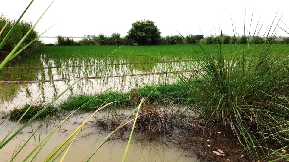 Flood situation in Kasganj due to Ganga water lever increasing