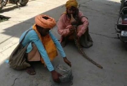 Hathras: House-to-house worship of snakes on Nag Panchami
